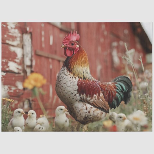 デコップフ素朴ァームルーフスターチックスバーン 薄葉紙 (正面)