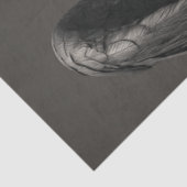 デコップブラッククロウサテンスーツカリスマ 薄葉紙 (詳細)