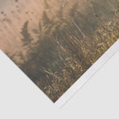 デコップブラックスタリオン走のフィールド 薄葉紙 (詳細)