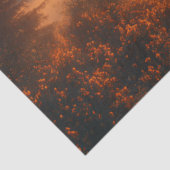 デコップブラックフォレストドイツサンライズ 薄葉紙 (詳細)