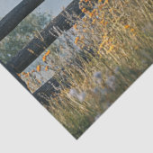 デコップブラックブラフマンブルインフィールド 薄葉紙 (詳細)