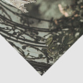 デコップブルネットドビクトリアンレスフローラ傘 薄葉紙 (詳細)