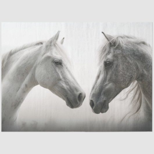 デコップホワイトホース顔へ顔 薄葉紙 (正面)