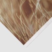 デコップホワイトラ威厳のあるオン 薄葉紙 (詳細)