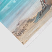 デコップポスタースケートンビーチファミリーブリッジ 薄葉紙 (詳細)