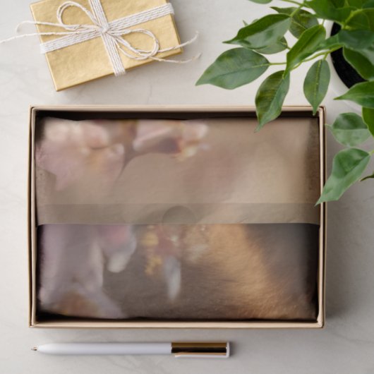 デコップマザーベビーキツネ睡眠砦 薄葉紙 (ギフト)