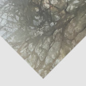 デコップミスティックな女性ロビンフードボウアローズ 薄葉紙 (詳細)