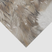 デコップミスティックサンタ&ルドルフ鼻へ 薄葉紙 (詳細)