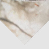 デコップラクお洒落ーンロビンフッドの森 薄葉紙 (詳細)