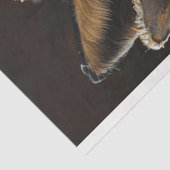 デコップレッドキツネスチームパンクバンディト 薄葉紙 (詳細)