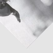 デコップレッドヘッドシスターパンクスター 薄葉紙 (詳細)