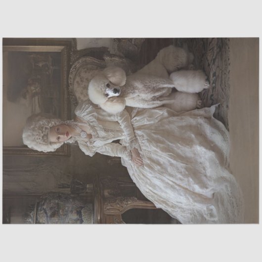 デコップロココスタイルレディ&スタンダードプードル 薄葉紙 (正面)