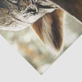 デコップロビンフードラクーンウッドランドヒーロー 薄葉紙 (詳細)