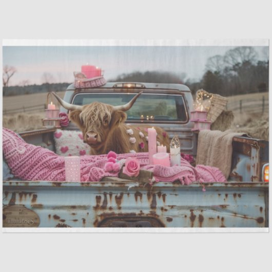 デコップロマお洒落ンチセッティングハイランド牛 薄葉紙 (正面)