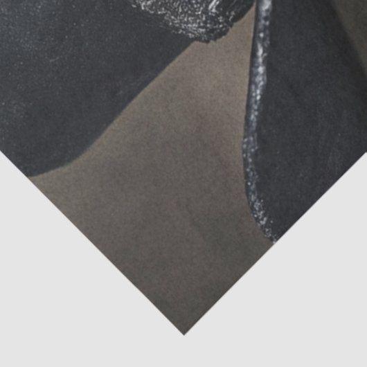 デコップワイルドウェストローマン黒い服 薄葉紙 (詳細)