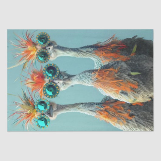 デコップワッお洒落カドードルバードアート 薄葉紙 (正面)