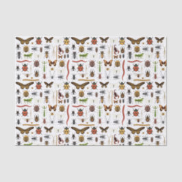 デコップ昆虫の誕生日パーティー 薄葉紙