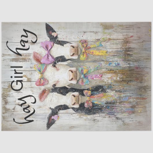 デコッページジャージお洒落ーカーベスヘイガールヘイ 薄葉紙 (正面)