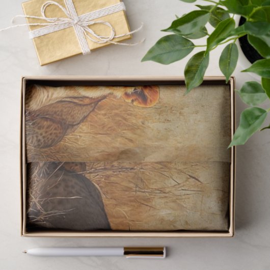 デコッペ威厳のあるージライオンライオネスと3つのキューブ 薄葉紙 (ギフト)