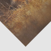 デコッペ威厳のあるージライオンライオネスと3つのキューブ 薄葉紙 (詳細)