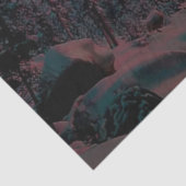 デコパージュ息をのむような北の光 薄葉紙 (詳細)