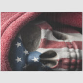 デコパージュ スカル アメリカ国旗 USA テーマ 薄葉紙 (正面)