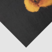 デコペお洒落ージのキャニカラフルー 薄葉紙 (詳細)