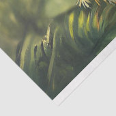 デコペお洒落ージ構成パロ鮮やかット色 薄葉紙 (詳細)