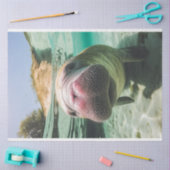 デコペお洒落ージ海ノイズ管理 薄葉紙 (クラフト)