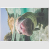 デコペお洒落ージ海ノイズ管理 薄葉紙 (正面)