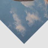 デコペお洒落ージ牛顔&帽子 薄葉紙 (詳細)