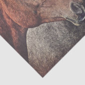 デコページまたはコラージュのための馬のティッシュペーパー 薄葉紙 (詳細)