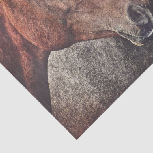 デコページまたはコラージュのための馬のティッシュペーパー 薄葉紙 (詳細)