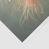 デコページティッシュペーパーバードフローラファファーン 薄葉紙 (詳細)