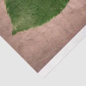 デコページティッシュペーパーヴィンテージランヌカルスブケット 薄葉紙 (詳細)