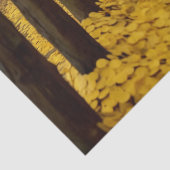 デコページティッシュペーパー – ワイルドのウィスパーズ4 薄葉紙 (詳細)