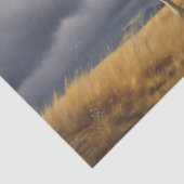 デコページティッシュペーパー – ワイルドのウィスパーズ5 薄葉紙 (詳細)