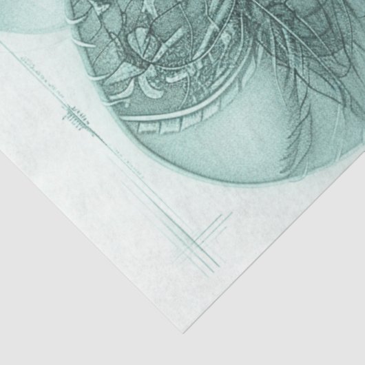 デコページポートレートデザインモノクロ女性のカーボーイ 薄葉紙 (詳細)