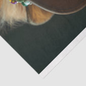 デコページヴィンテージ装束カリスマ獅子 薄葉紙 (詳細)