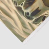 デコページ海ウミガメ写真 薄葉紙 (詳細)