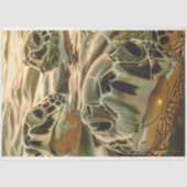 デコページ海ウミガメ写真 薄葉紙 (正面)