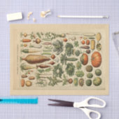 デコページ紙10"x15" – ボタニカルアート45 薄葉紙 (クラフト)