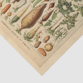 デコページ紙10"x15" – ボタニカルアート45 薄葉紙 (詳細)