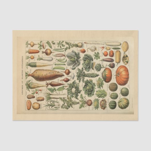 デコページ紙10"x15" – ボタニカルアート45 薄葉紙 (正面)