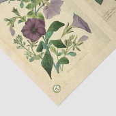 デコページ紙10"x15" – ボタニカルアート51 薄葉紙 (詳細)