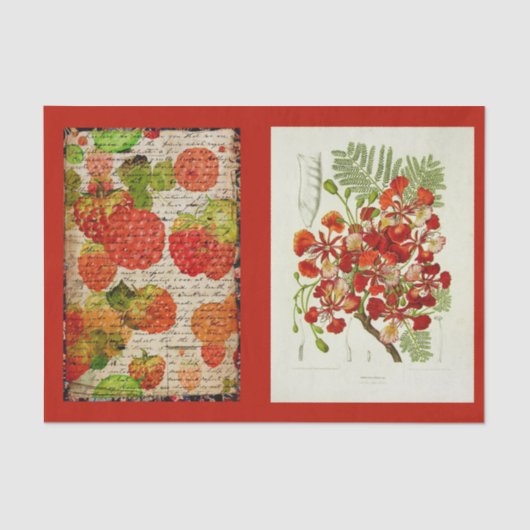 デコページ紙10"x15" – ボタニカルアート53 薄葉紙 (正面)