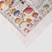 デコページ紙10"x15" - Botanical Art 203 薄葉紙 (詳細)