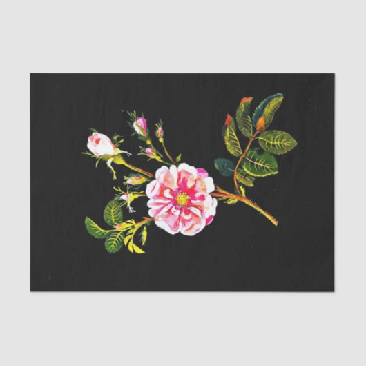 デコページ紙10"x15" - Mary Delany 10 薄葉紙 (正面)