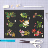 デコページ紙10"x15" - Mary Delany 14 薄葉紙 (クラフト)