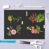 デコページ紙10"x15" - Mary Delany 16 薄葉紙 (クラフト)